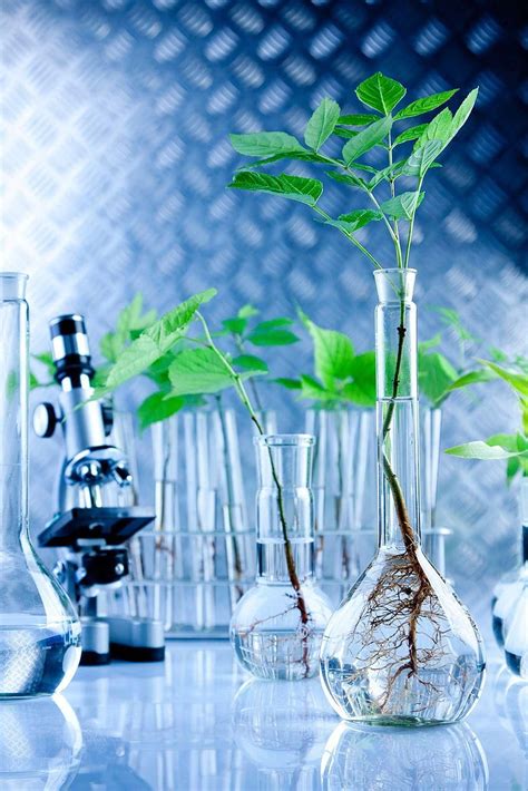 Biotechnology (Page 3), Plant Biotechnology HD phone wallpaper | Pxfuel