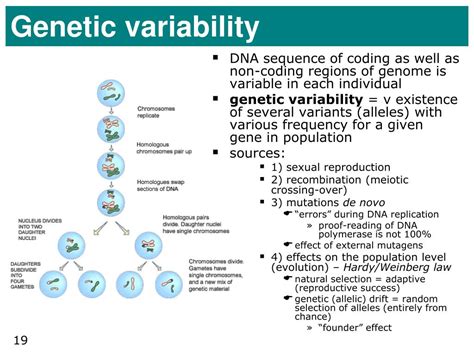 PPT - Genetic determination of diseases PowerPoint Presentation, free ...