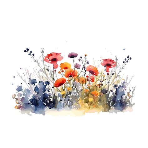 Premium Vector | Watercolor illustration of flowers