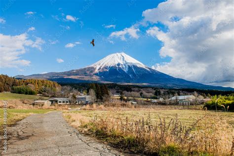 In winter, Mount Fuji appears all white and magnificent. It is 3,775 ...