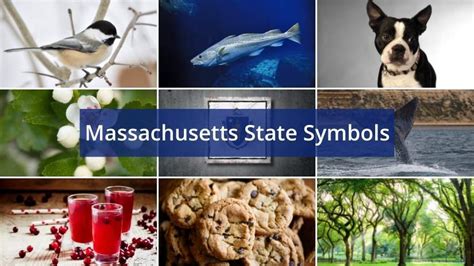 Learn The Massachusetts State Symbols - Foreign USA