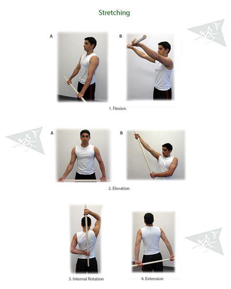 Shoulder Exercises