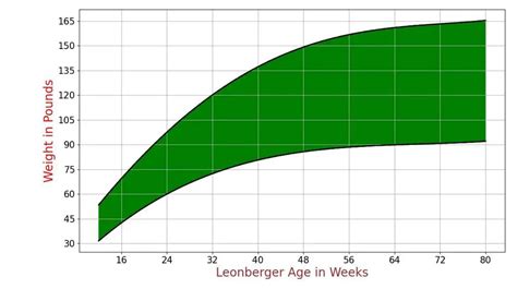 How Much Should Leonberger Weigh? Leonberger Weight Calculator.