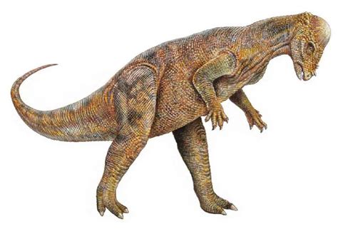 Pachycephalosaurus Facts, Habitat, Diet, Fossils, Pictures