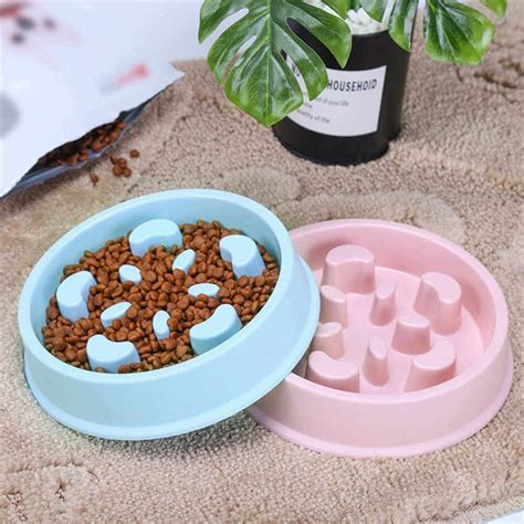 Buy Pet Slow Feeder Dog Bowl in Kenya - Best | Petsasa