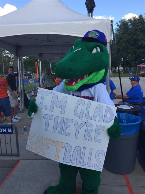 Watch As Florida Gator Mascot Saves Little Boy From Foul Ball! - David ...