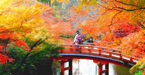 【秋季日本紅葉旅遊】八大日本賞楓名所精選 | KAYAK旅遊網誌