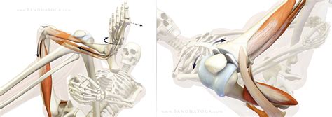 The Daily Bandha: Protecting Your Knee in Pigeon Pose