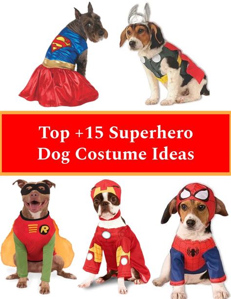 Superhero Dog Costumes and Ideas + Where to Buy Online!