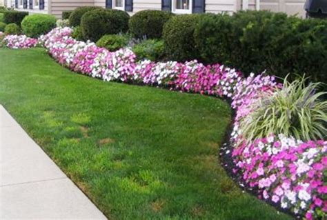 Nice Small Bushes For Landscaping | Shrubs for landscaping, Garden shrubs, Landscape edging