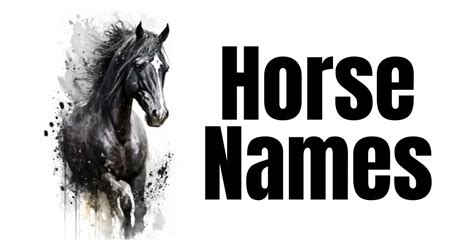 500+ Horse Names Unique Creative Cool Funny & Cute Ideas