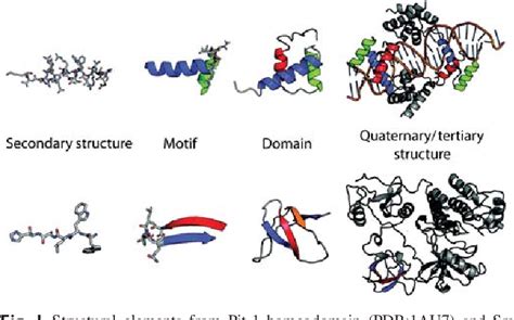 Figure 1 from Protein folds and protein folding. | Semantic Scholar