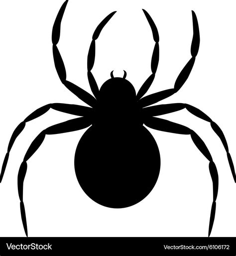 Black spider Royalty Free Vector Image - VectorStock