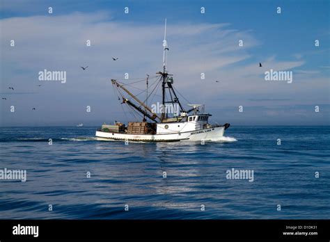 Salmon fishing trawler in the Pacific Ocean off the coast of Westport, Washington, USA Stock ...