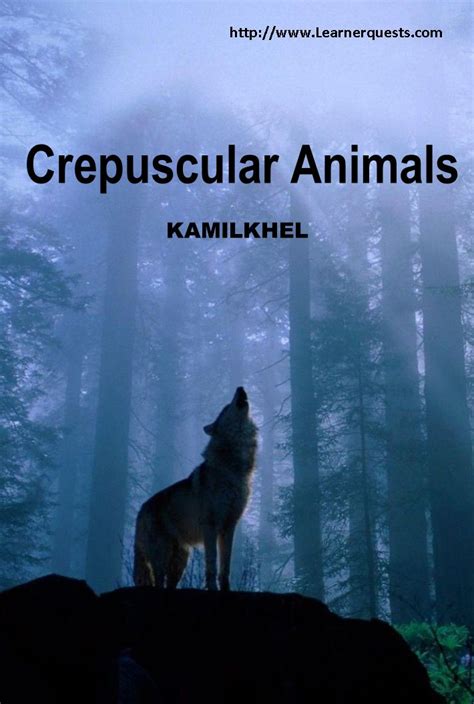 Crepuscular Animals | Dawn and dusk, Animals, Wild dogs