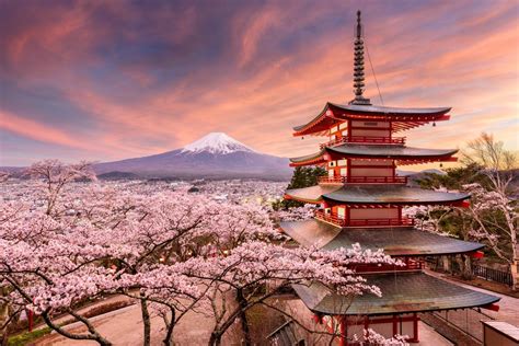 Why now is the best time to visit Japan | Japan holidays, Japan travel, Visit japan