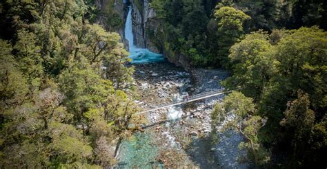 Milford Sound: Half-Day Guided Milford Track Walk | GetYourGuide