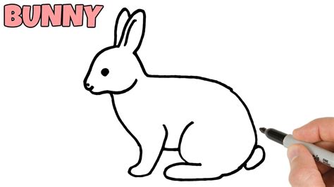 How to Draw a Rabbit Bunny easy step by step | Hare Drawing for beginners