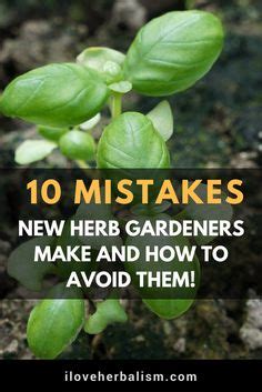 85 Plants Health ideas | plants, organic gardening, gardening tips