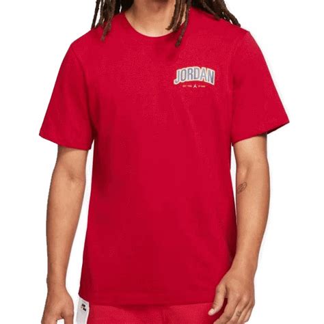 Jordan Jumpman Men's Graphic Short-Sleeve T-Shirt (687)