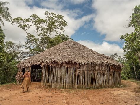 How Do Indigenous Tribes Live In The Amazon Rainforest? - Rainforest ...