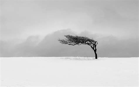 #1075657 trees, landscape, drawing, monochrome, nature, snow, winter ...