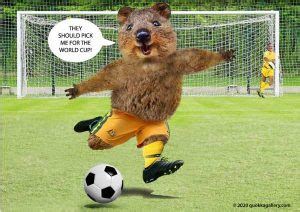 Quokka Posters & T-Shirts | The Quokka Gallery