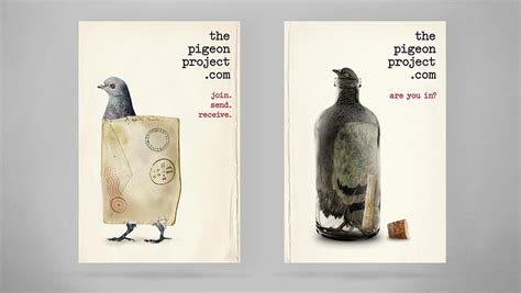 Pigeon Project - Alphabet Studio