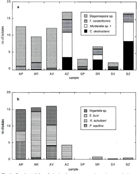 Figure 3 from Fungal endophytes of bracken ( Pteridium aquilinum ) , with some reflections on ...