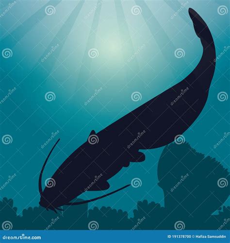 Catfish Silhouette Vector | CartoonDealer.com #95009093