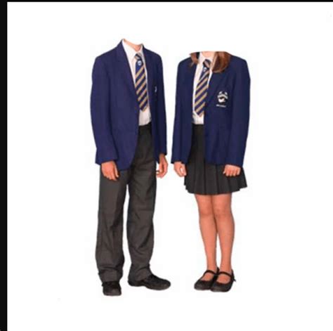 Blue Unisex French terrain College Uniform, Size: Medium at best price ...