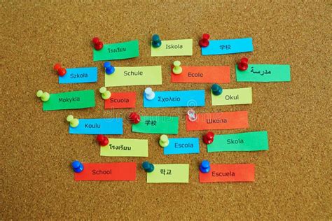 Word School Written in Different Languages Stock Image - Image of global, green: 75816779