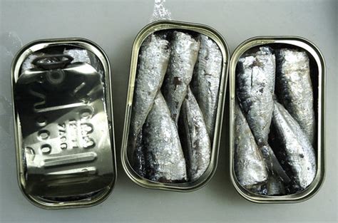 still life of sardines | Stijn Nieuwendijk | Flickr