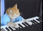 Meme Keyboard Cat GIF - Meme KeyboardCat Play - Discover & Share GIFs