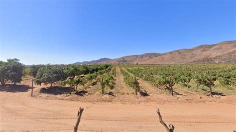 Ensenada - Mexico Wine Region | Wine-Searcher