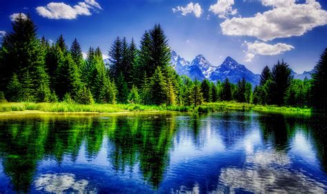 Best Nature Background - 2560x1520 - Download HD Wallpaper - WallpaperTip