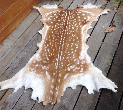 Woodland Tannery | Deer Hide Rug - Wall Hanging