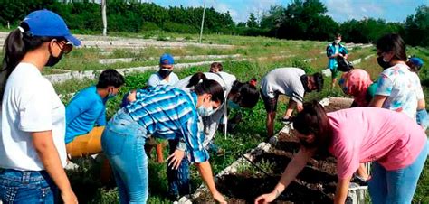 ¿QUÉ NOS DEPARA EL AÑO QUE VIENE A LOS CUBANOS? - Covering Cuba Tourism & Travel, Food & Cuisine ...