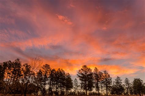 20170217-Pink and orange. | Black hills, Pink and orange, Sunrise