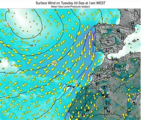 Canary Islands, Spain Surface Wind on Saturday 21 Aug at 1pm WEST