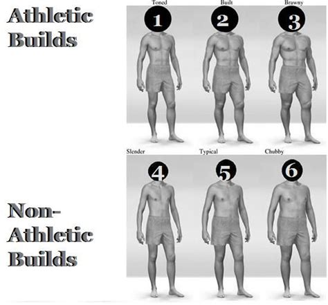 Types of Body Shapes Male - PerlataroRuiz