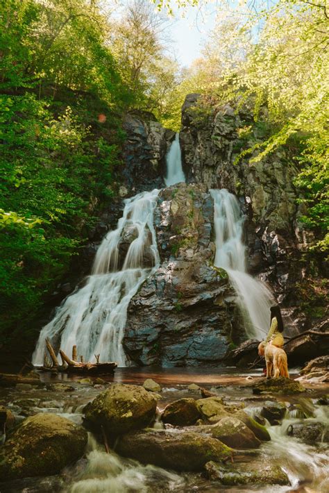 Best waterfall hikes in shenandoah national park – Artofit