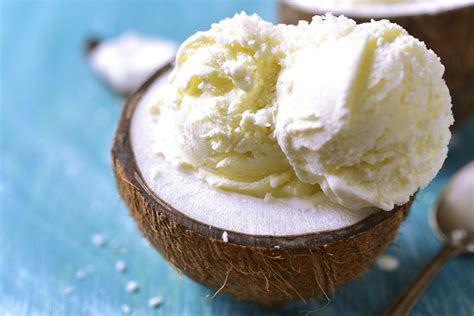 6 Homemade Coconut Milk Ice Cream Recipes