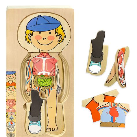 Buy Kidzlane Boy Wooden My Body Puzzle for Toddlers & Kids - 29 Piece Boys Anatomy Puzzle Kid ...