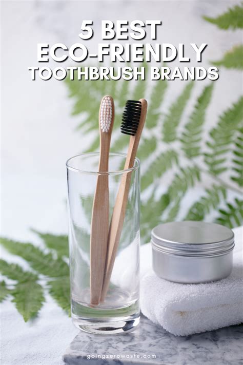 Why use an eco-friendly toothbrush? - Going Zero Waste