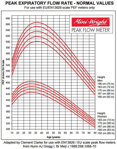 How To Use A Peak Flow Meter - Beautiful Insanity