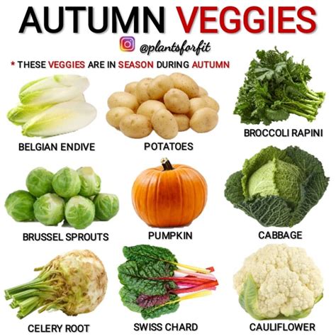 HEALTH ADVICE | VEGAN RECIPES on Instagram: “ ️ COMMENT Your Favorite AUTUMN SEASON VEGETABLES!🌱 ...