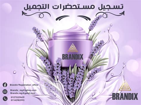 BRANDIX on Behance