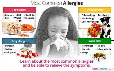 What Causes Allergies To Develop – Know Your Allergy