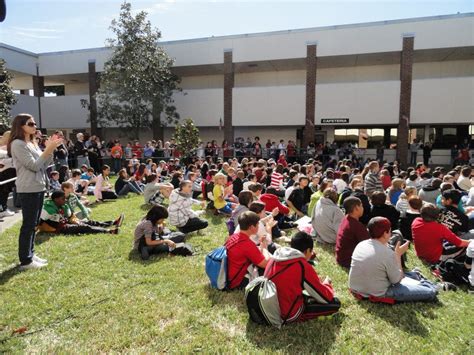 Touching Tribute to Veterans at Palm Harbor Middle School | Palm Harbor ...